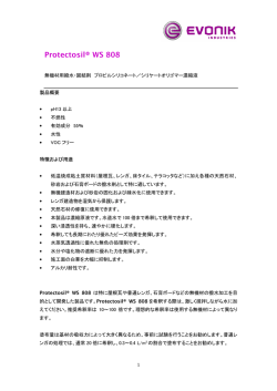 Protectosil WS 808