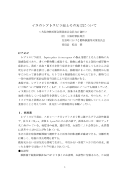 イヌのレプトスピラ症とその対応について