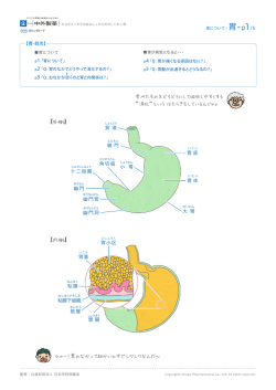 胃-p1/5