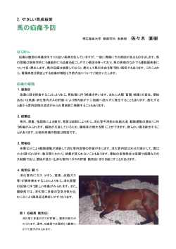 馬の疝痛予防
