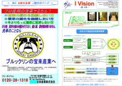 I Vision 第4号