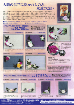 ちらしダウンロード - 株式会社芳賀インターナショナル