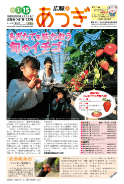 広報あつぎ 第1223号（1月15日発行）（PDF形式 3649キロバイト）