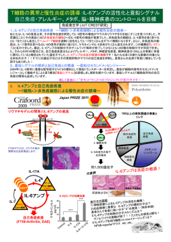 T細胞の異常と慢性炎症の誘導：IL-6アンプの活性化と亜鉛シグナル