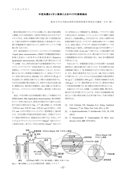 2013(2) FIAフロントライン