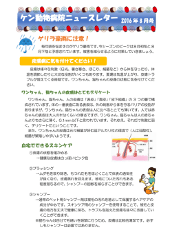 2016年08月号