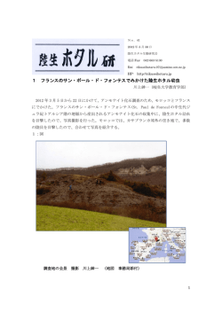 調査月報No.41 （2012年3月30日発行）