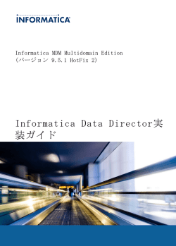 Informatica Data Director実装ガイド