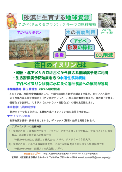 砂漠に生育する地球資源 注目のイヌリンとは