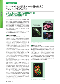 クロンテック社は蛍光タンパク質を幅広くラインナップしています！