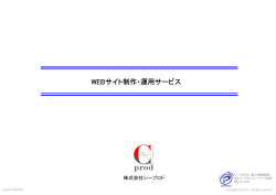 Webサイト制作＆運用サービス概要（PDF 1.16MB