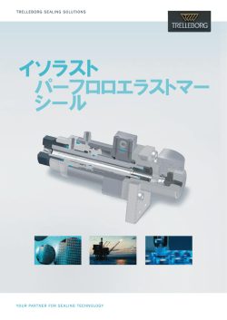 イソラスト パーフロロエラストマー シール