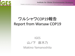 COP19 途上国森林減少防止関連交渉結果 REDD+ワルシャワフレーム