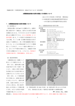 PDFファイルのダウンロード