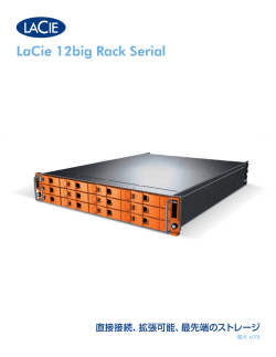 12big Serial Datasheet