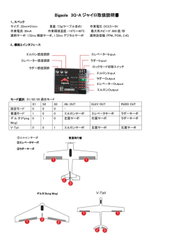 Bigaole 3G-A ジャイロ取扱説明書