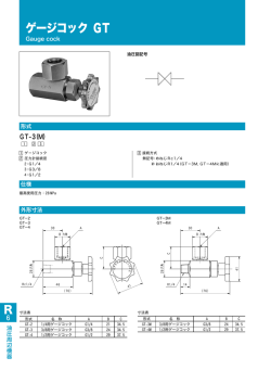 ゲージコックGT