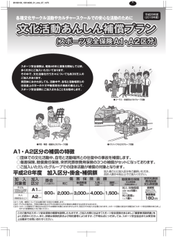 スポーツ安全保険A1・A2 区分