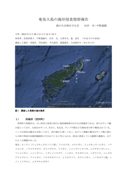 奄美大島の海岸侵食視察報告 - 日本自然保護協会～NACS-J