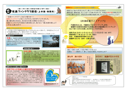 松島ファンクラブ通信
