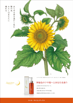 神秘色のツヤ髪へとあなたを誘う