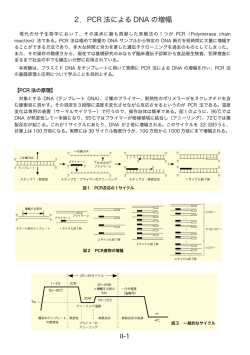 2．PCR 法による DNA の増幅