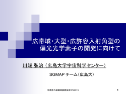 すばる望遠鏡観測装置FOCAS VII. 高分散分光／偏光モード試験観測