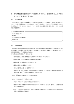 1 PGM画像の書式について説明して下さい．余裕のある人は についても