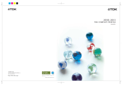 TDK COMPANY PROFILE