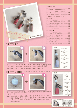 ピアス     イヤリング