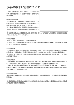 水稲の中干管理（PDF）