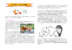 EAC 便り 2016 年夏号