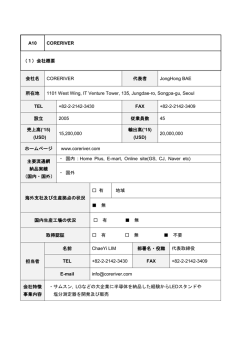 A10 CORERIVER （1）会社概要 会社名 CORERIVER 代表者