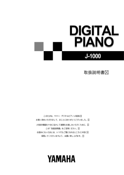 DIGITAL PIANO DIGITAL PIANO