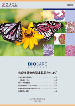 免疫多重染色関連製品カタログ