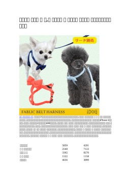 【安い】 大型犬 犬 服,犬 シンプル 服 ブランド 国内出荷 シーズン最後に