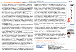 第十四号