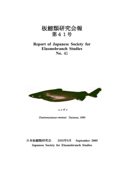 板鰓類研究会報 - 日本板鰓類研究会