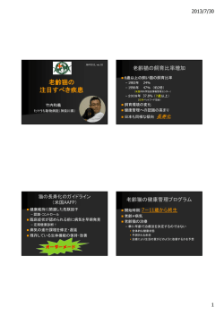 老齢猫の 注目すべき疾患