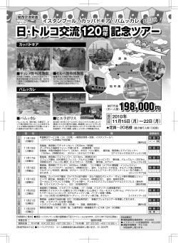 印刷版ちらし（pdf）