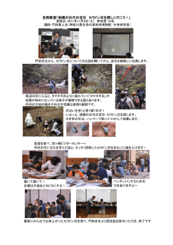 自然教室「相模の古代の宝石 セラドン石を探しに行こう！」