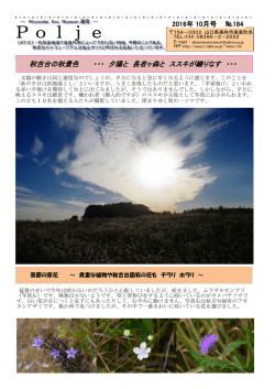 秋吉台の秋景色 ・・・ 夕陽と 長者ヶ森と ススキが織りなす - C