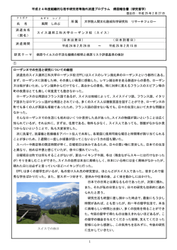 1 平成24年度組織的な若手研究者等海外派遣プログラム 帰国報告書