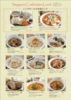 Singapore Combination Lunch
