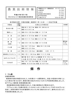 7月17日
