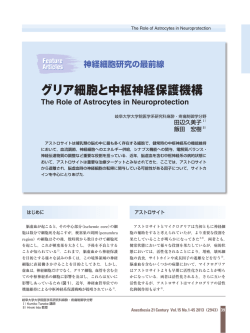 PDFをダウンロード（570 KB）