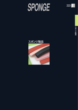 このカテゴリーの カタログ PDF ダウンロード（1.1MB）