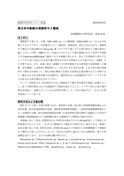 西日本中新統の深海性サメ類相