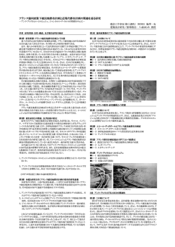 梅澤 一充