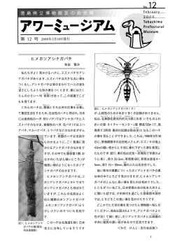 No12 2000年2月10日発行 PDF形式 1